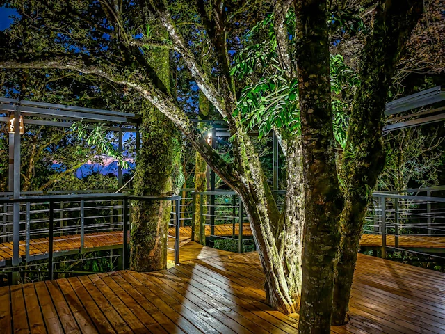 Cloud Forest Lodge